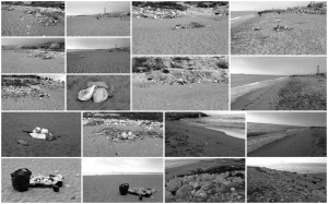 Antoine Khater - A letter to all Lebanese people La Marina on a Summer day