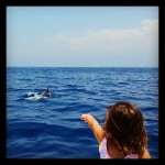 Dolphins - Virgin Radio 1