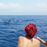 Dolphins - Virgin Radio