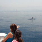 Dolphins - Virgin Radio 3