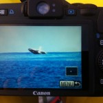 Maxime Chaaya Rowing the Indian Ocean (2)