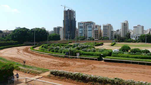 _46465000_theracecourse(2)