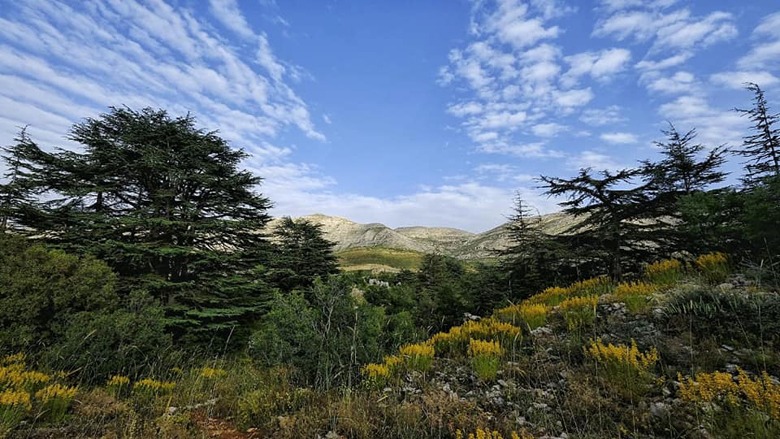 Bløde fødder kristen nød Lebanon Nature Reserves Are Open For Free This Sunday - +961